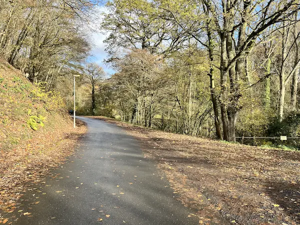 Die schönen Wälder des Siebengebirges